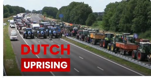 rushhournews-dutch-uprising